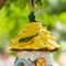 Glitzhome® 9" Resin Yellow Roof Outdoor Garden Birdhouse